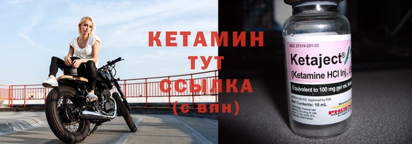 СК Алексин