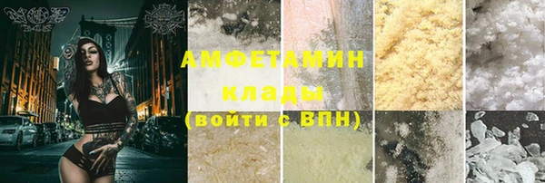 СК Алексин