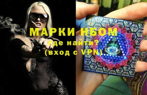 СК Алексин